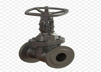 उद्योग के लिए स्टील गेट वाल्व DN10-DN50