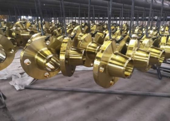 एनबीआर/विटन डायफ्राम कनेक्शन के लिए वेल्डिंग स्टील पाइप फ्लैंग्स पर स्लिप