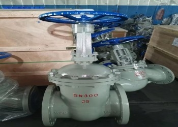 मैनुअल सिंगल वेज स्टेनलेस स्टील तितली वाल्व DN10-DN50