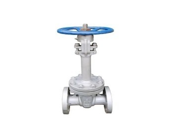 मैनुअल सिंगल वेज स्टेनलेस स्टील तितली वाल्व DN10-DN50