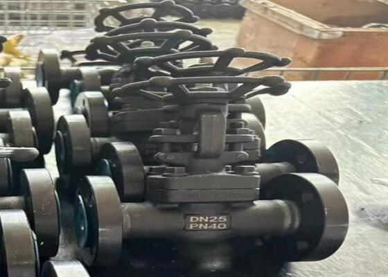 बोल्टेड बोनट के साथ मैनुअल स्टील गेट वाल्व DN10-DN50 150lb-1500lb उच्च संक्षारण प्रतिरोध