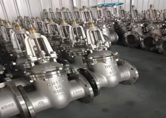 कठोर औद्योगिक वातावरण के लिए मैनुअल ऑपरेशन और बोल्टेड बोनट के साथ एपीआई मानक स्टील गेट वाल्व